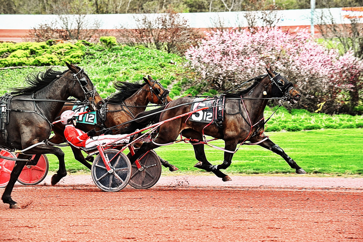 Huntsville filly sweeps Bobby Weiss Series prelims