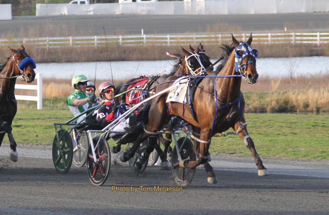 Swifty Run impressive in Plainridge feature win