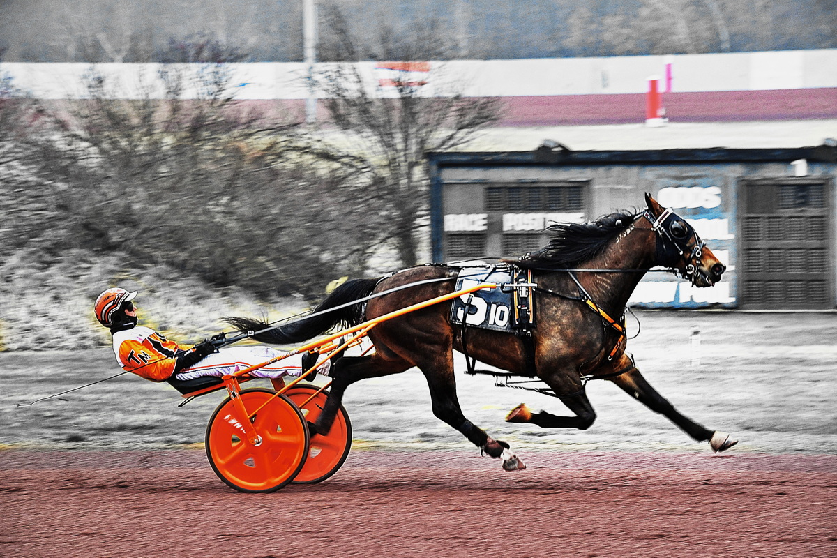 Trotters in the spotlight for Weiss Series