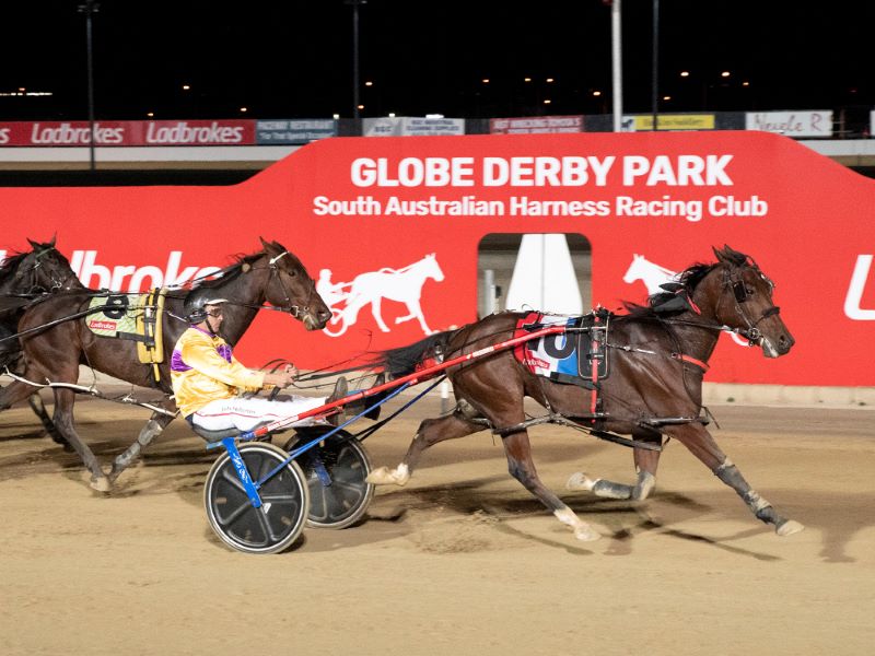 Tembie impresses in 3&4YO final at Globe Derby