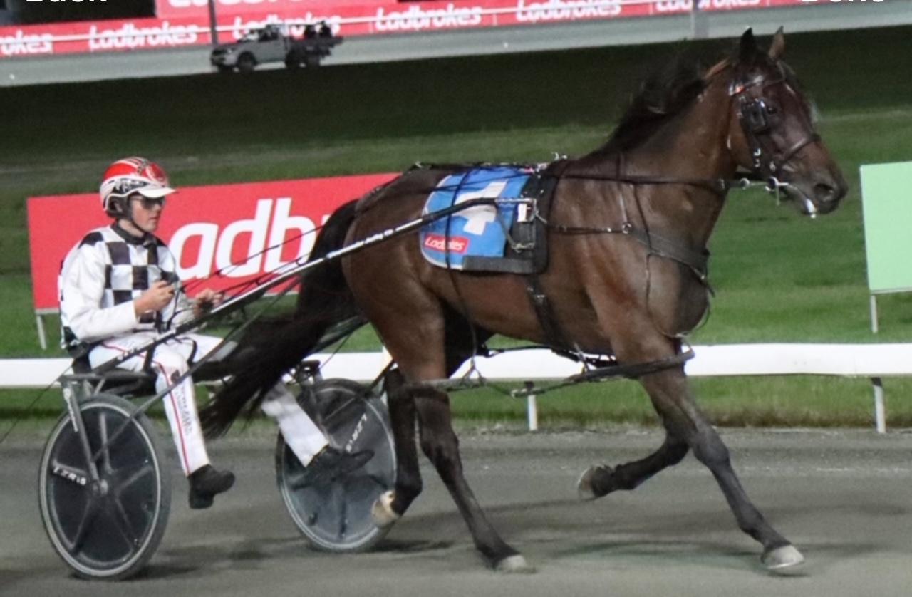 Tims A Trooper breaks through for well deserved win