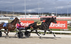 Triedtotellya emerges as Tasmania’s Inter Dominion hope