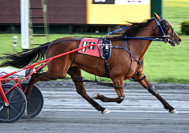 Phoenix Rising back in the winner’s enclosure