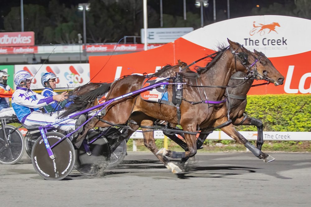 Wisper A Secret blitzes his rivals in breaking 1:50