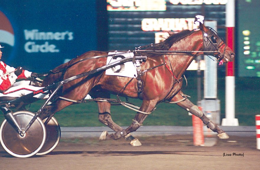 Western Ideal passes away quietly at the age of 30