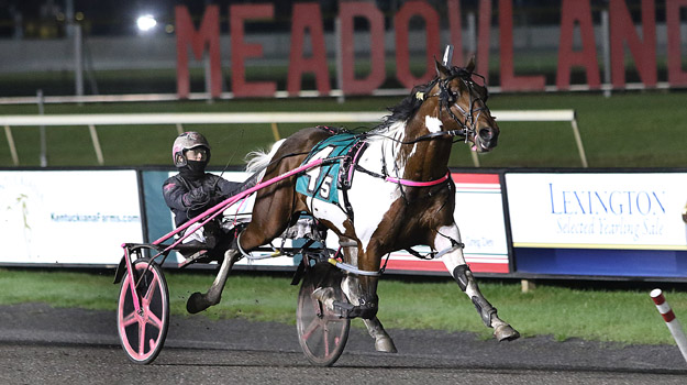 Always B Colour IR now the fastest pinto pacer in history