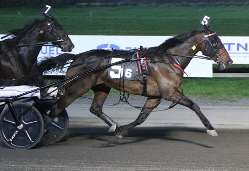 Cantab Hall gelding scores in $25,000 Trot