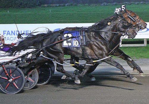 Dead heat in high-end conditioned pace
