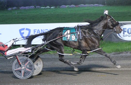 Gem Quality and Dexter Dunn too sharp at the finish