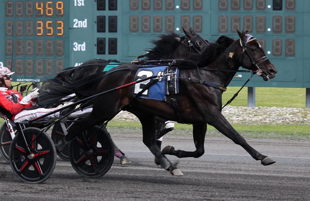 Aetos Kronos S resolute in $100,000 Maxie Lee victory