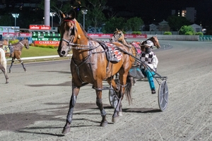Trot Rods finale to light up Redcliffe