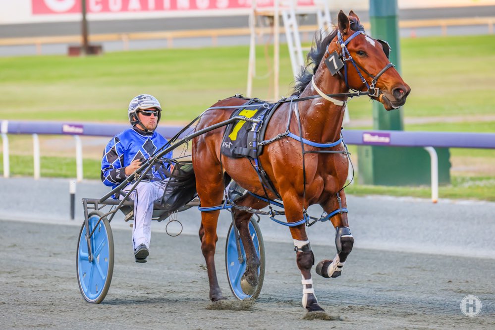 De Campo’s gem of a drive in Seaside Magic’s win