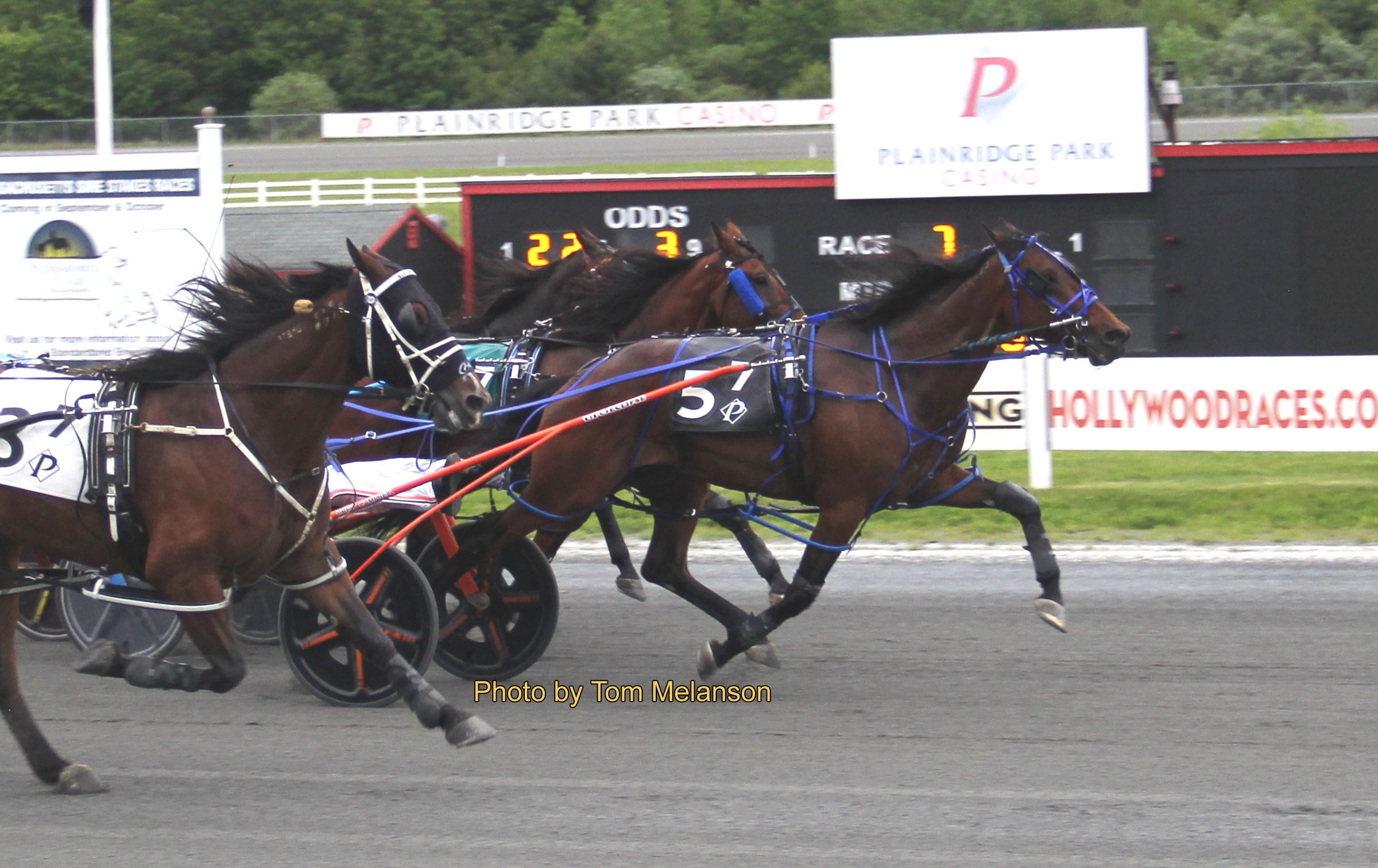 Alex Having Fun wins $25,000 Open