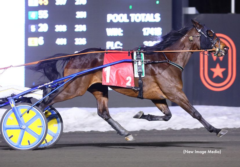 Amigo Volo aiming for $100,000 Maxie Lee Memorial Invitational