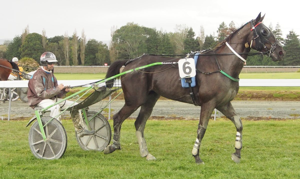 Southland trainers have quick turnaround