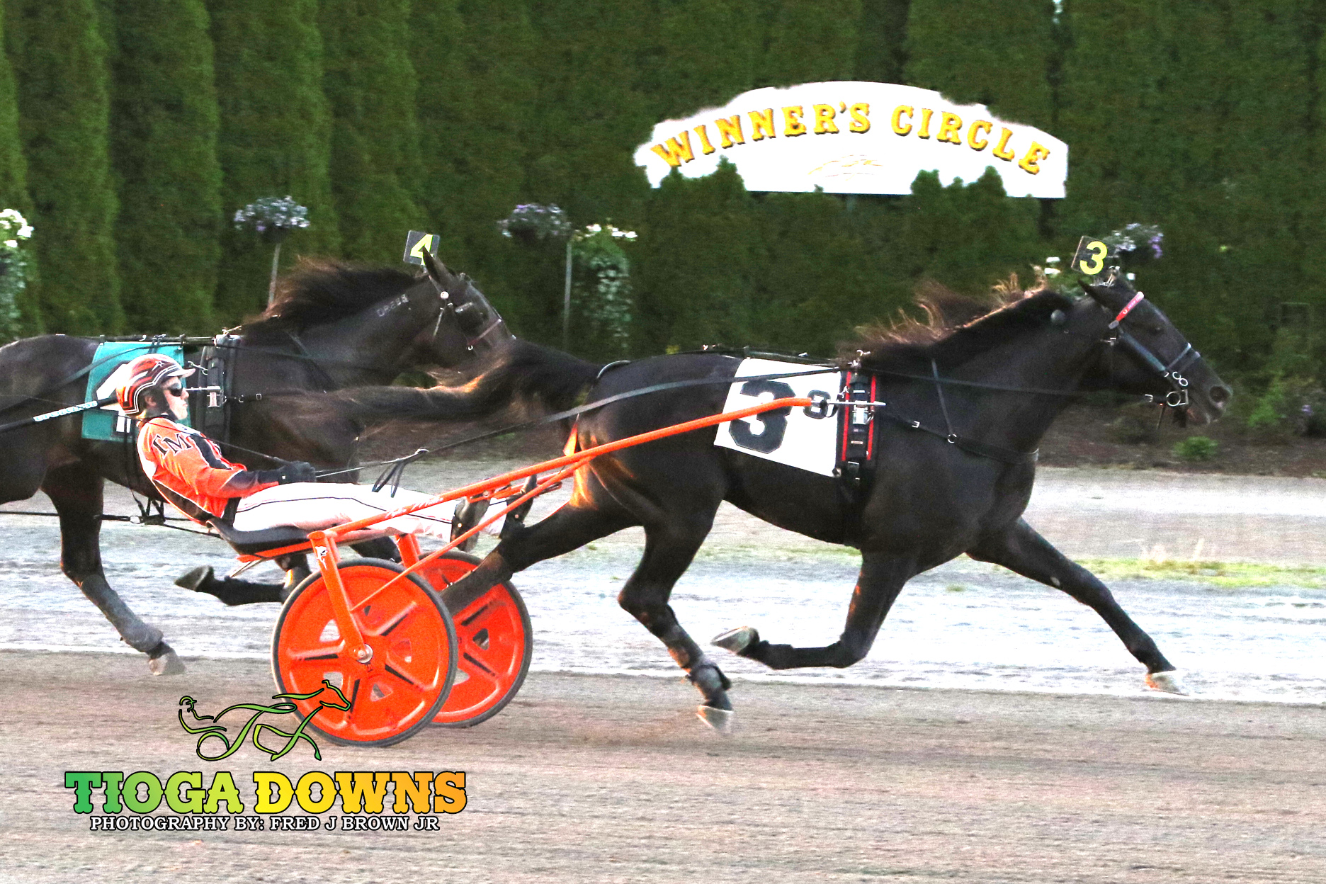 Asteroid hits first at Tioga