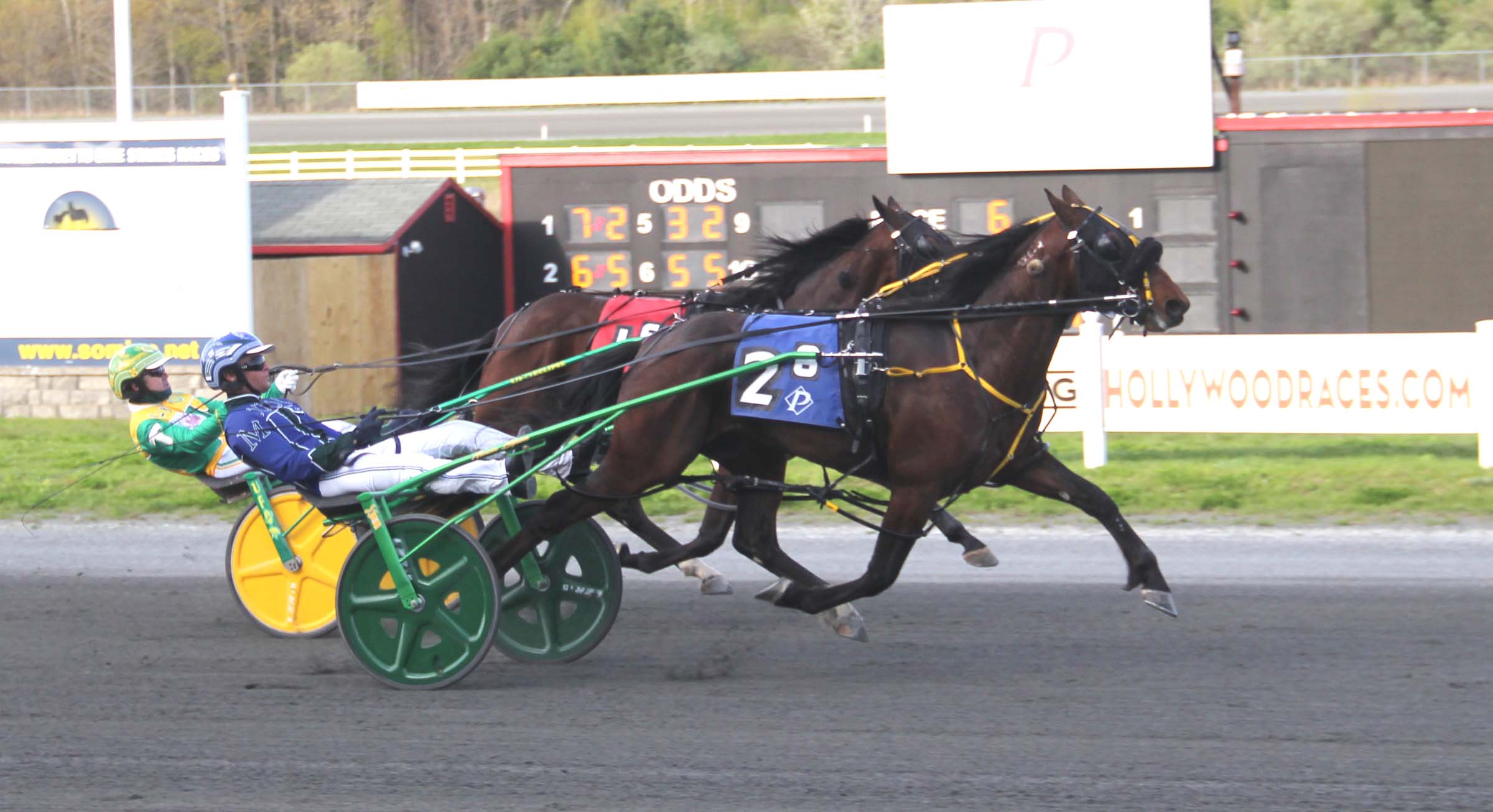Ayeaye Captain Deo sails home in $100,000 Paul Revere Pace