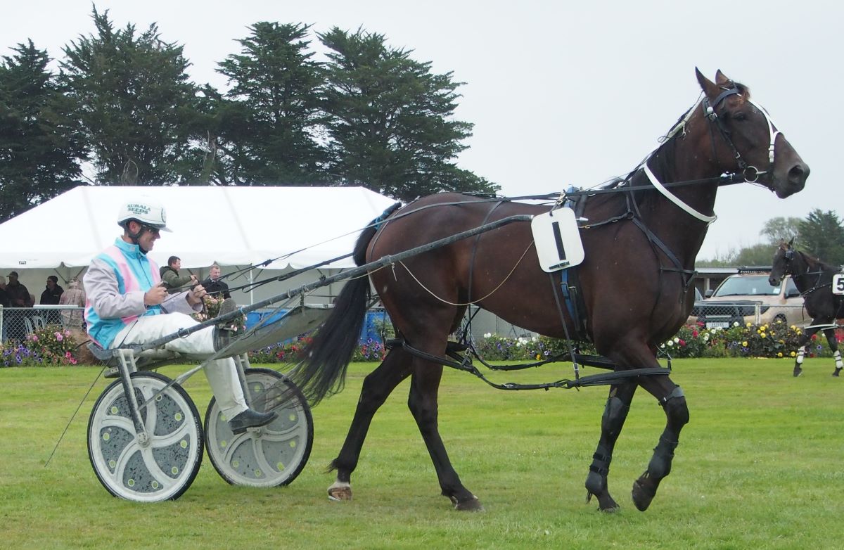 Hunter colours head to Addington