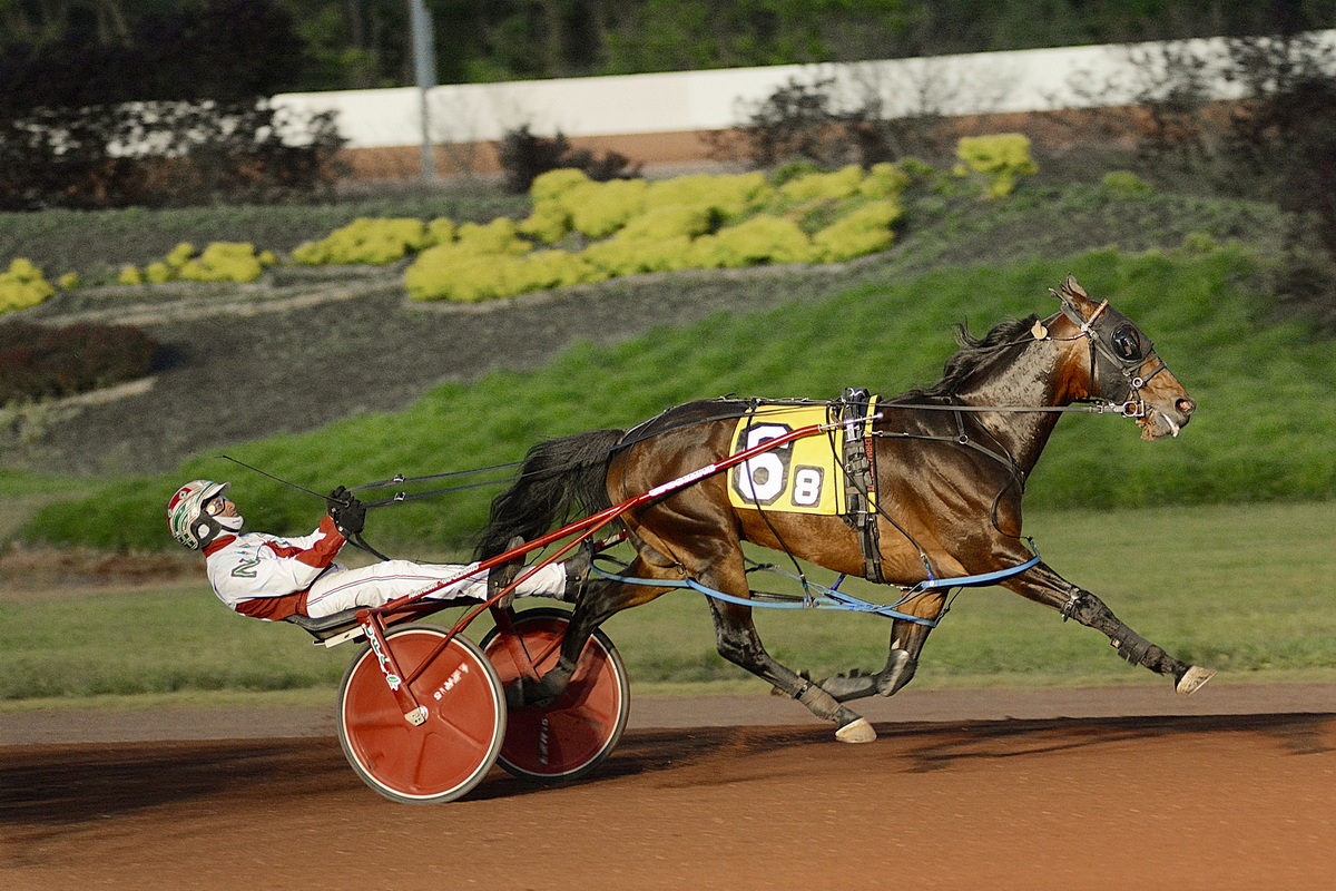 Art Major gelding in control in feature