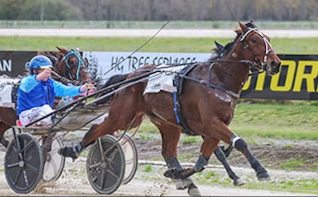 Hat-trick of wins for Hopes