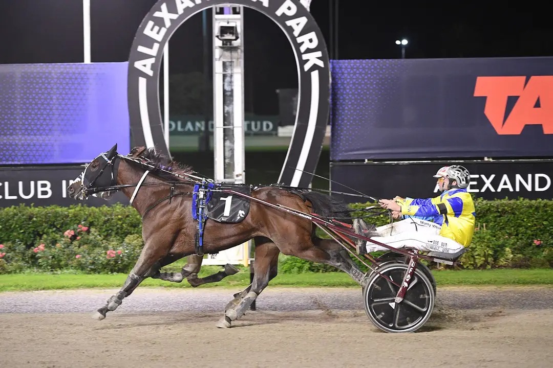 Bet N Win is off to Australia early