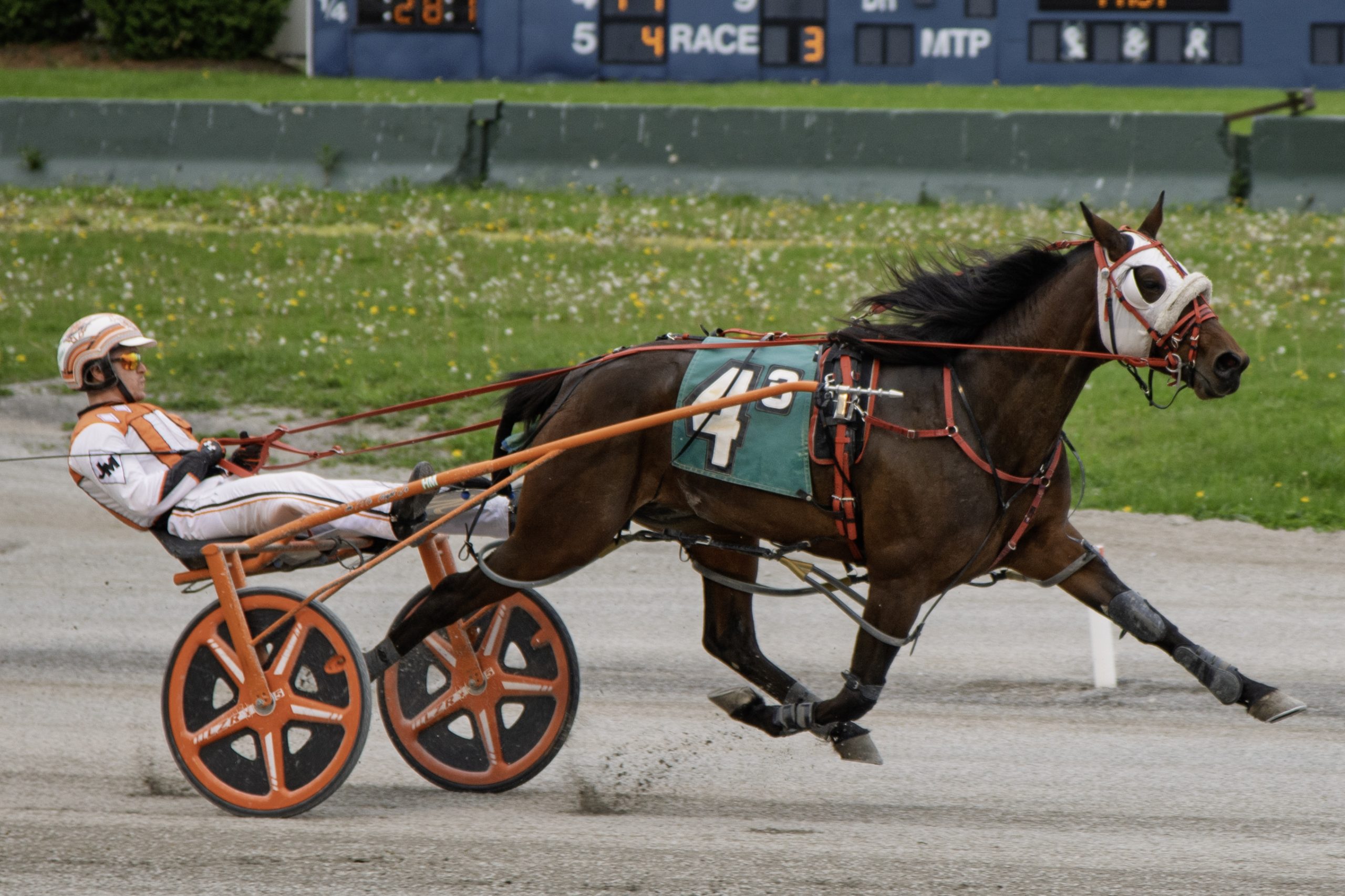 Bettor B Sawyer upsets at Buffalo