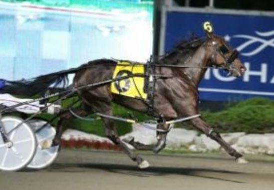 Game Changers: Bugger Bruiser