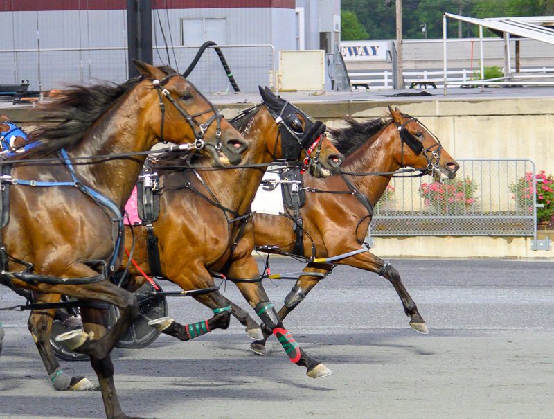 13th lifetime win for Cindy Jo