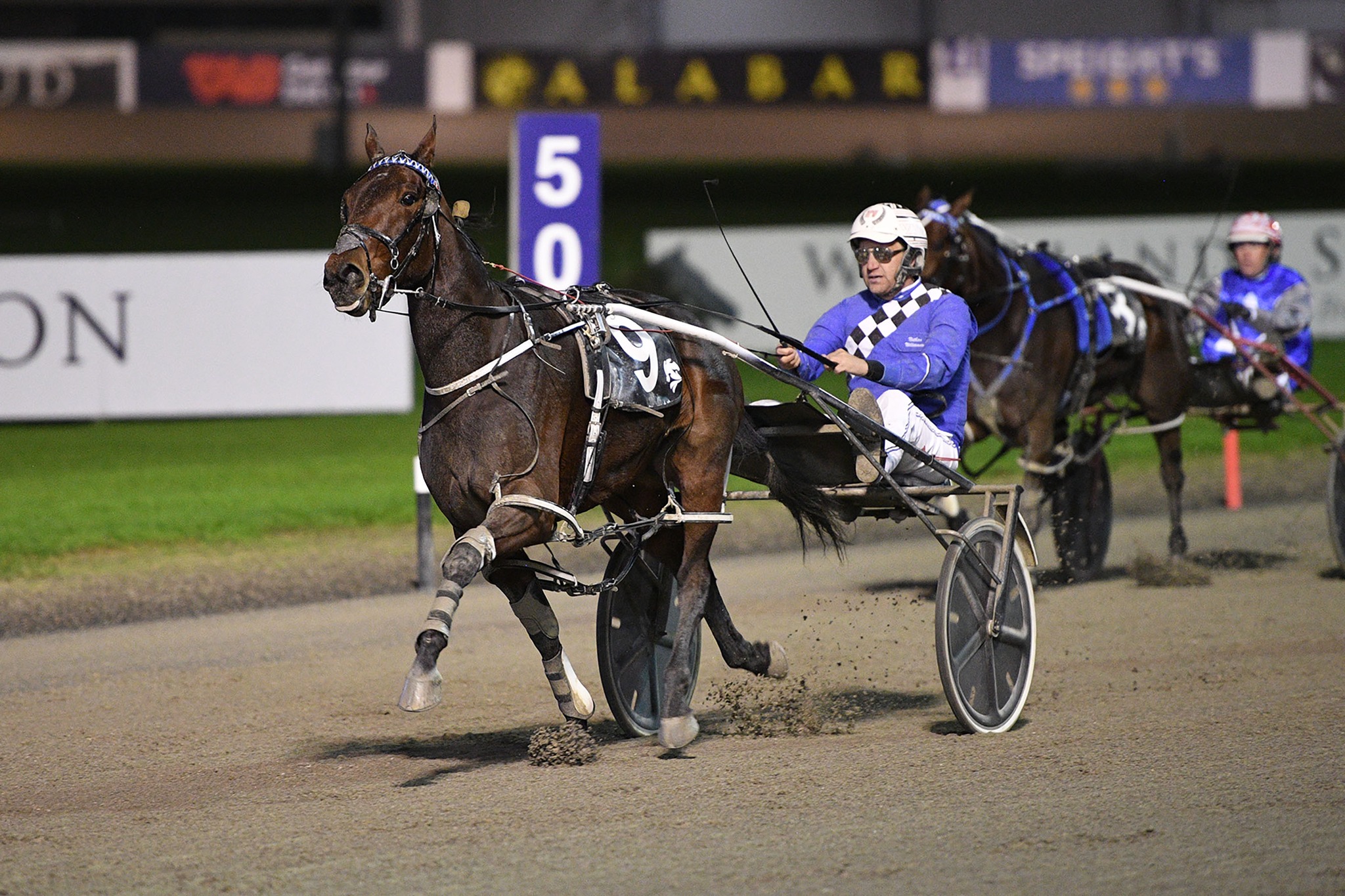 Mistress given perfect trip by Captain Williamson