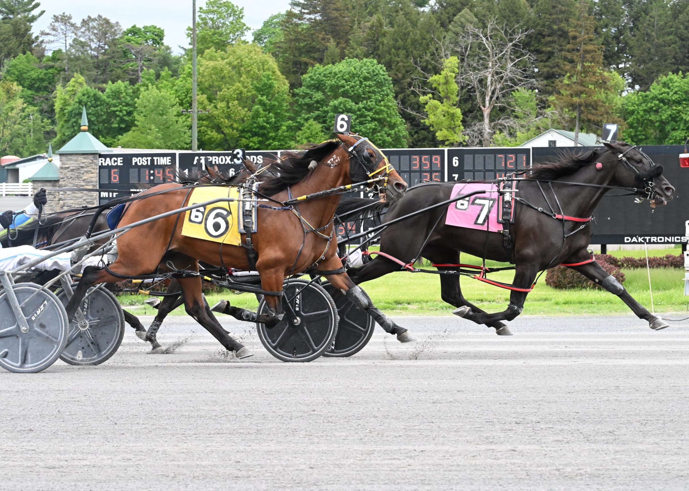 Arizona swoops late to win in style