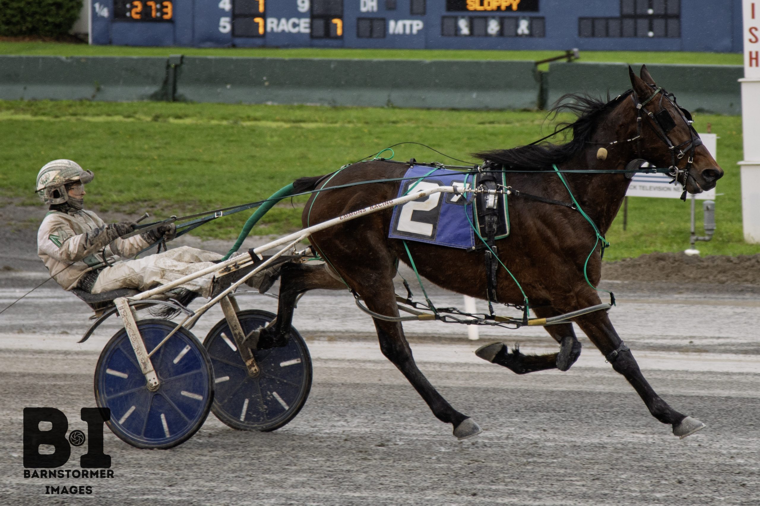 Davey Day Trader squashes rivals by six lengths