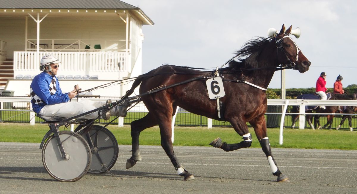 Diva Bee takes centre stage