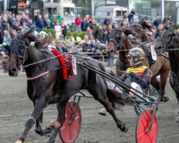 Diva EK upset winner of 116,567€ Menhammar Copenhagen Cup