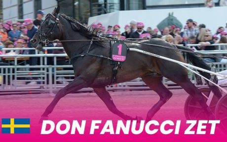 Don Fanucci Zet tenth horse ready for this year’s Elitloppet