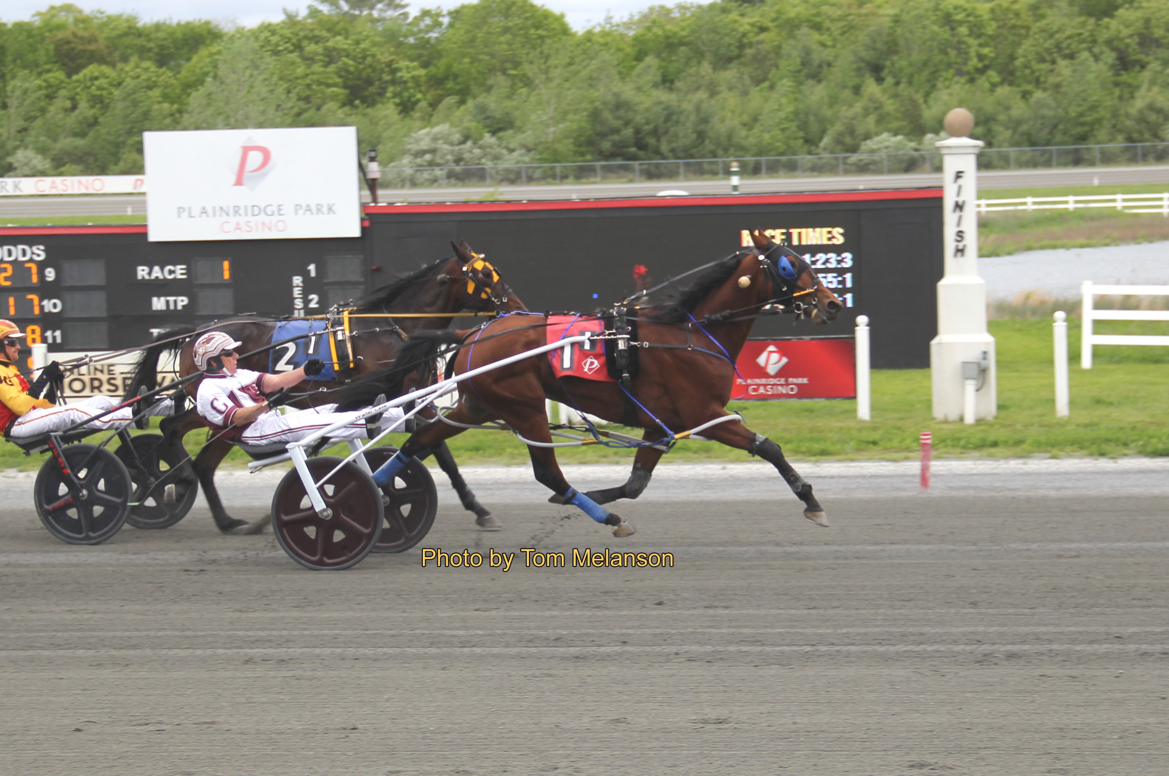 Walter Case Jr dominates $16,000 paces