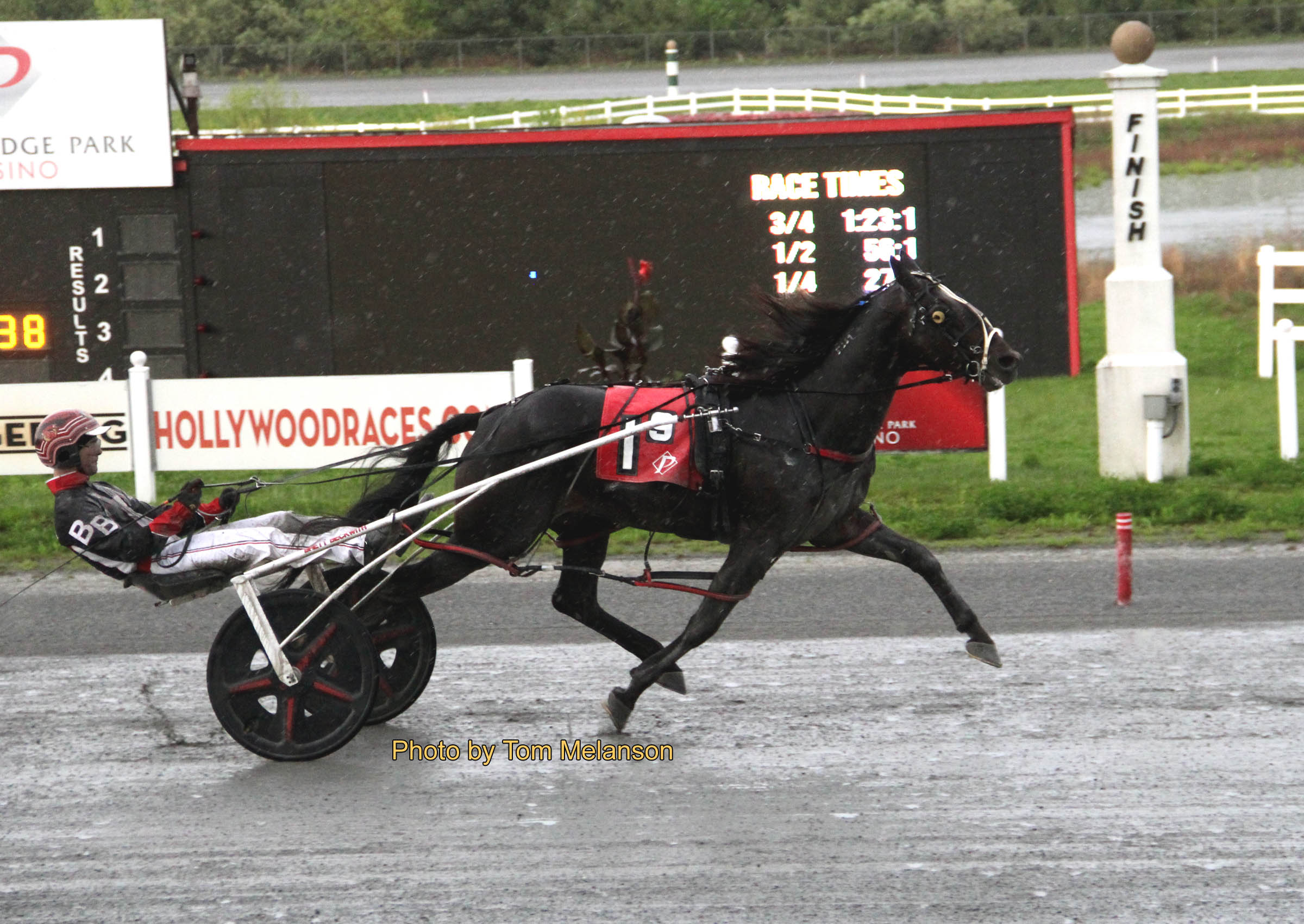 Perfect trip gets tidy win for Fourever Boy