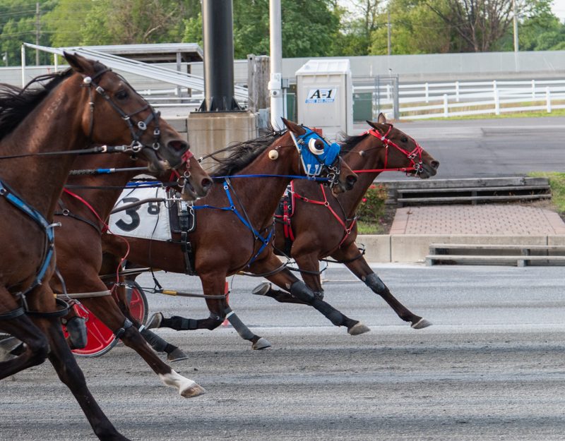 All Bets Off mare upsets, Hundertpfund gets 2,000th win