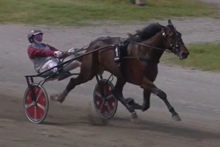 Ginostrabliggi stays unbeaten in eight