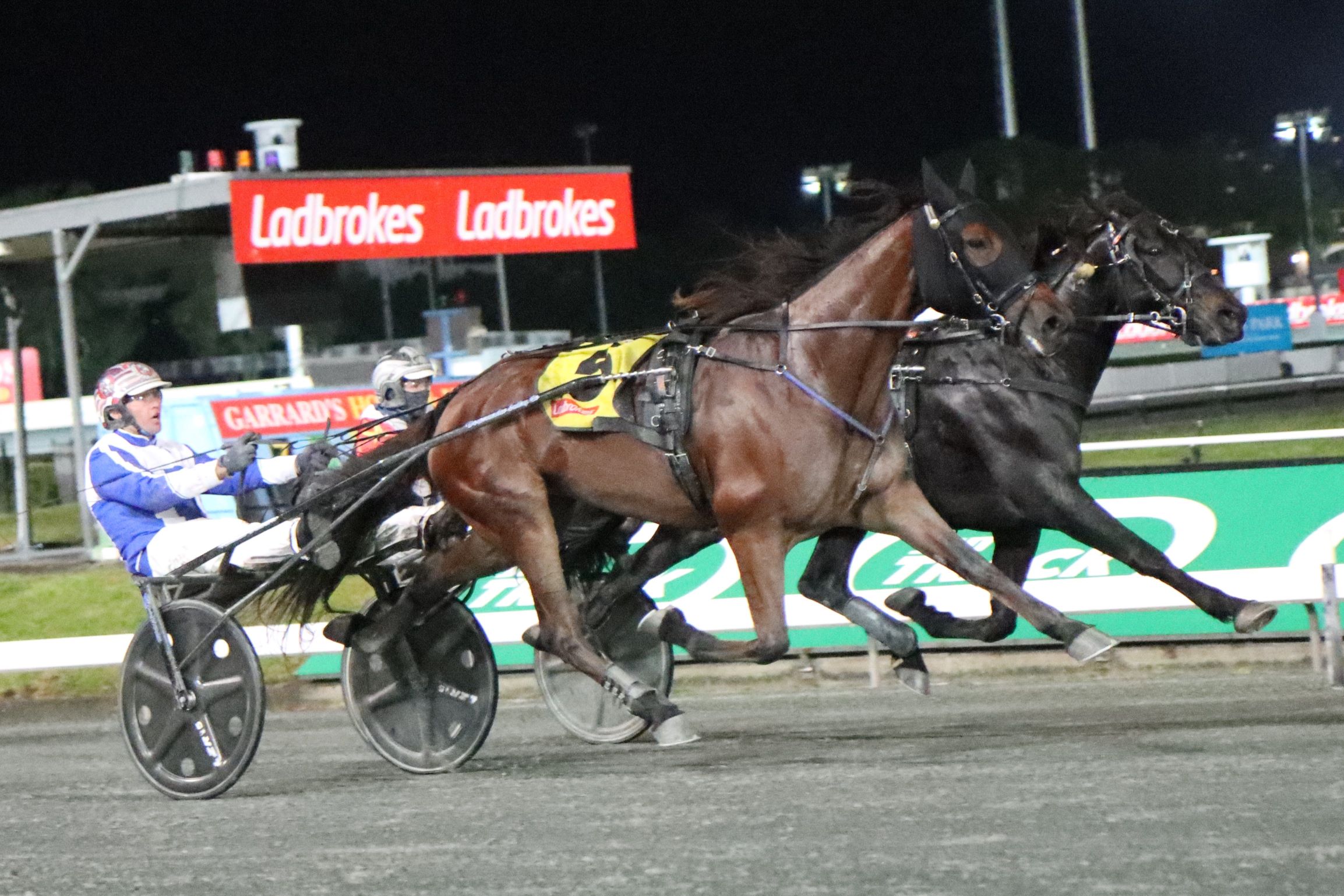 Golden Sunset earns trip to Sydney for Macarthur Mile.