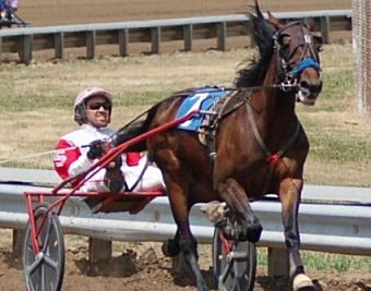 Former Illinois Horse of the Year looking to rebound