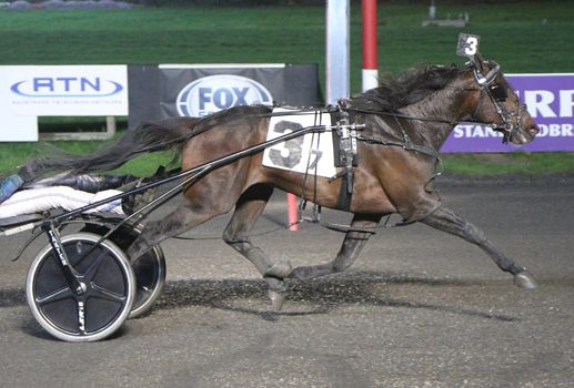 McCarthy to roll with Hard Seven in $115,500 Dexter Cup