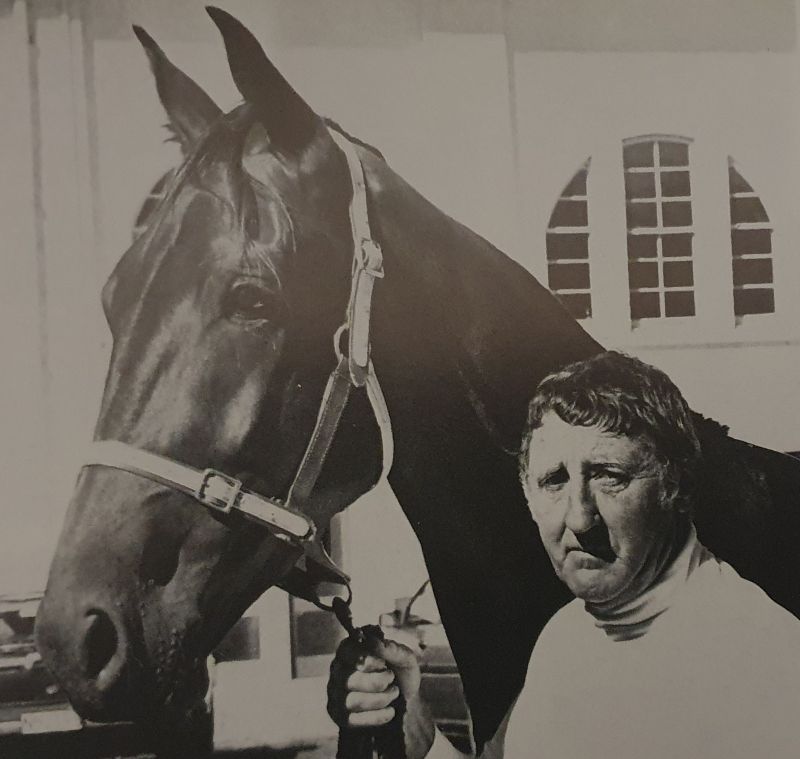 Honkin Vision Sires Stakes winner 1989