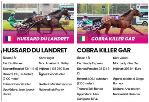 Hussard du Landret, Cobra Killer Gar invited to Elitloppet