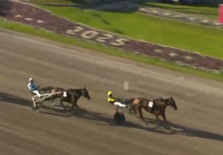 Inmarosa wins 1,000,000SEK Gr.I Harper Hanovers