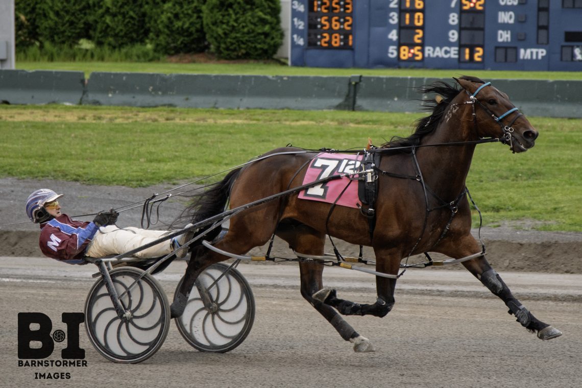 Crazy Fool Does It Again At Buffalo Raceway