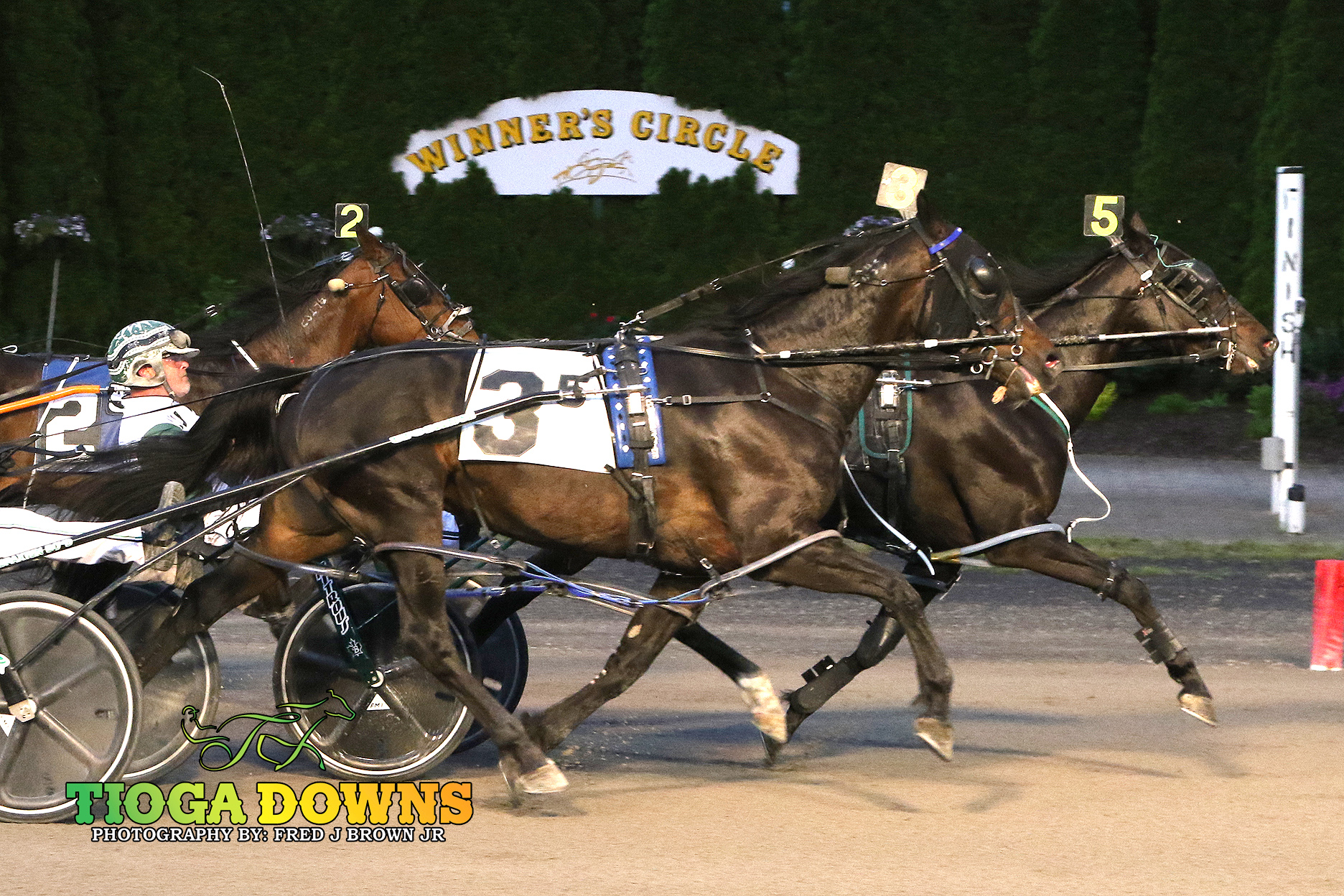 PL Princess C hangs tough to win