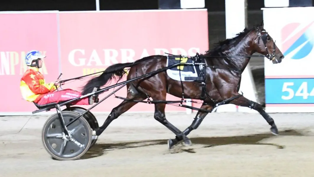 Emma Stewart scoops the Australian Pacing Gold Finals