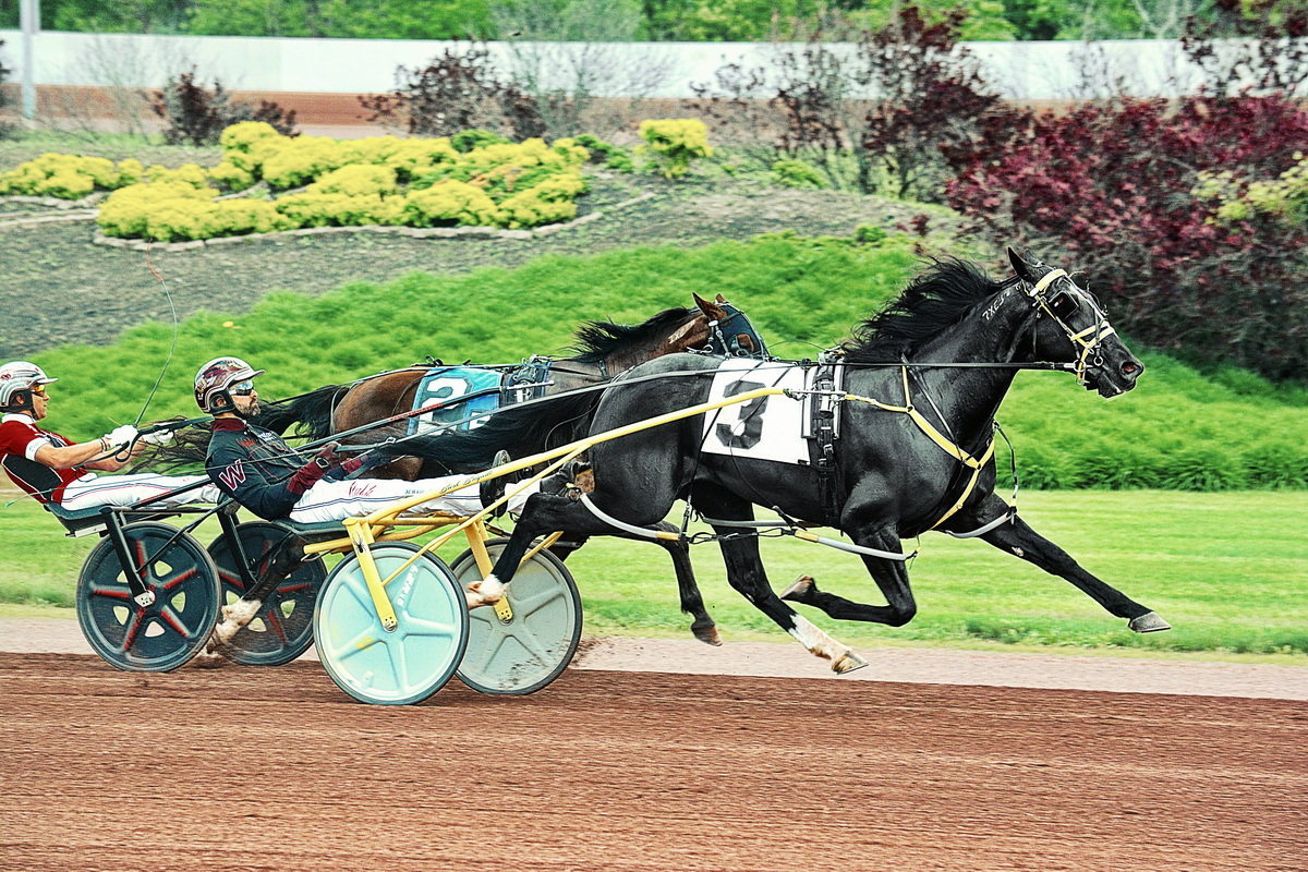 Dan Patch Award winning horses announced