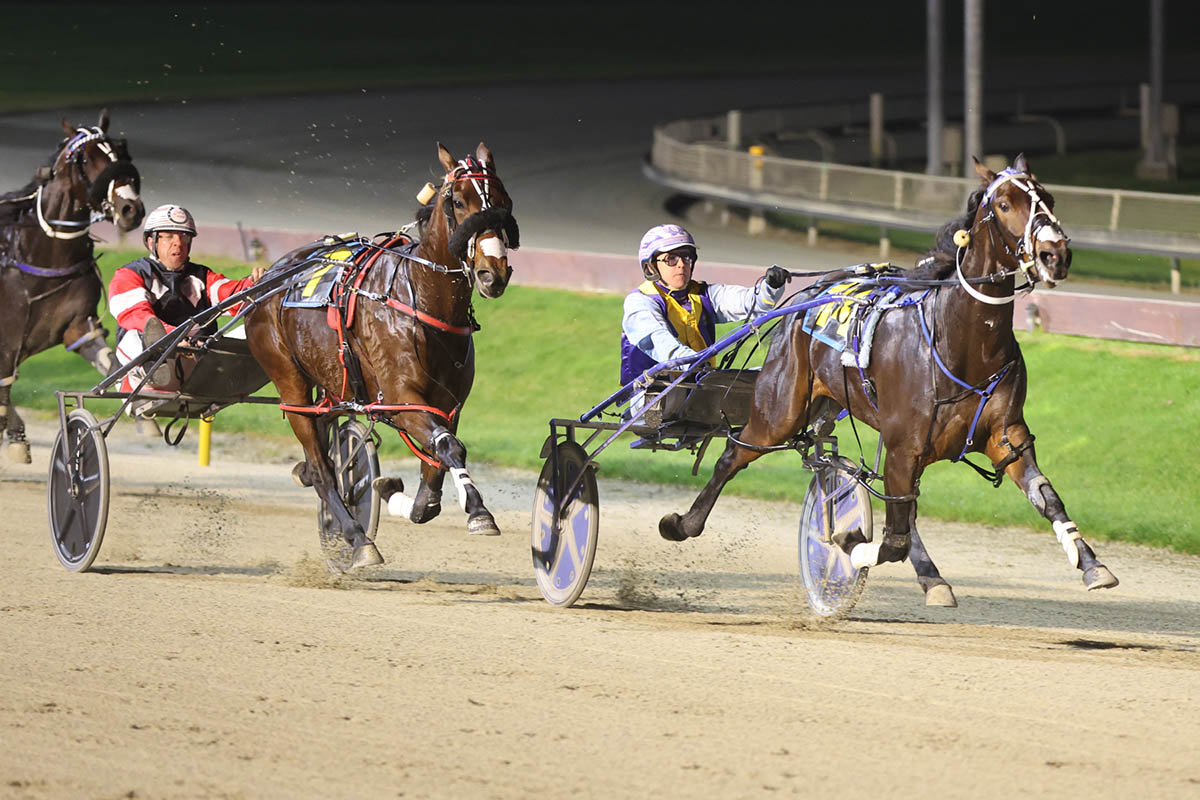 A new star in the Marketplace