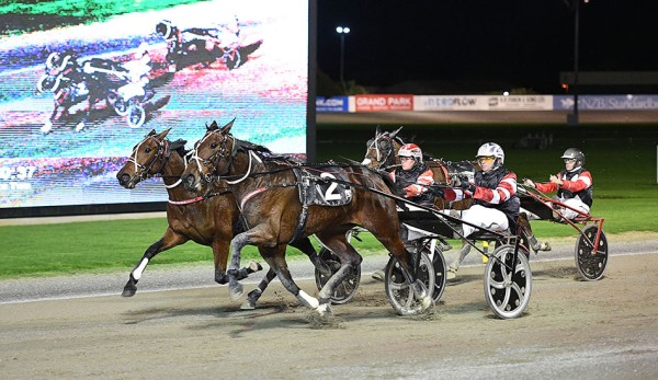 The MM trotting double act